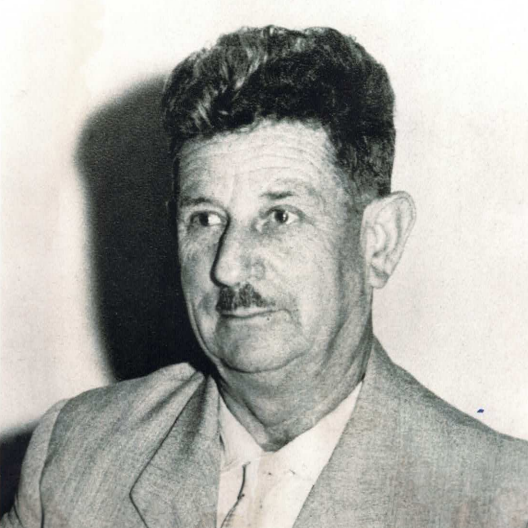 מרדכי אלון